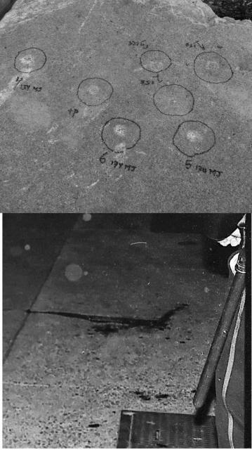 Dr. Nelson at JPL found no similar bullet marks like those in the test in a crime-scene photo